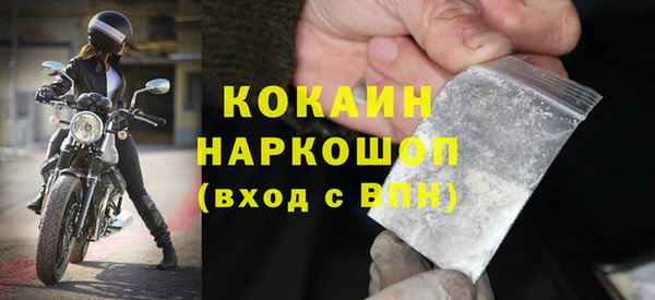 стаф Верея