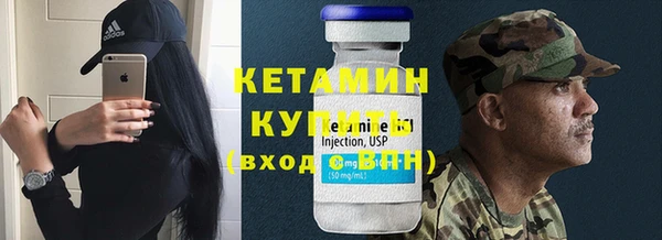 стаф Верея