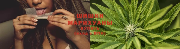 хмурый Верхний Тагил
