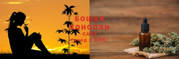 стаф Верея