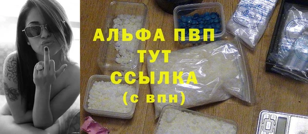 стаф Верея