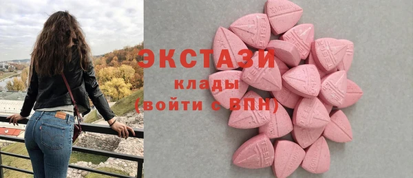 стаф Верея