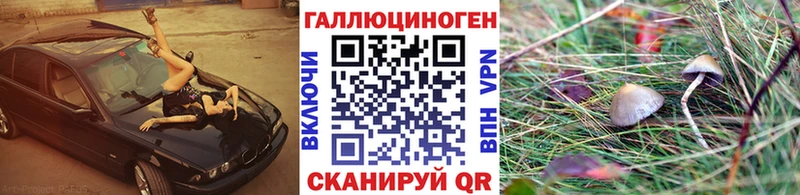 мега как войти  Гуково  Галлюциногенные грибы Magic Shrooms 